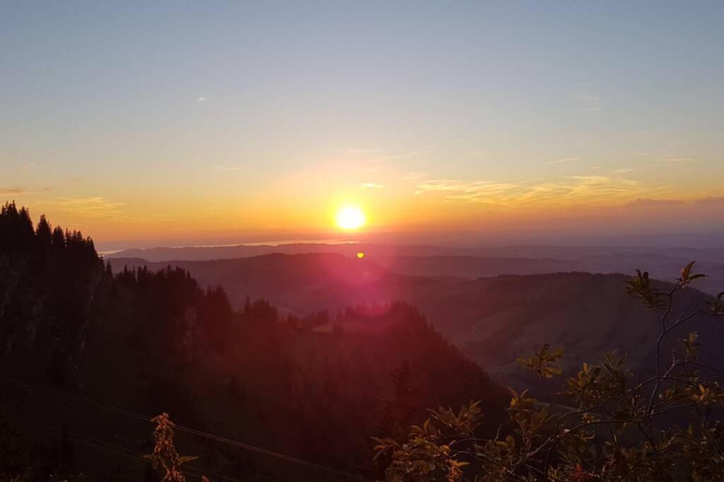 Fewo Allgaeuliebe Mit Wlan Oberstaufen Steibis Exterior photo