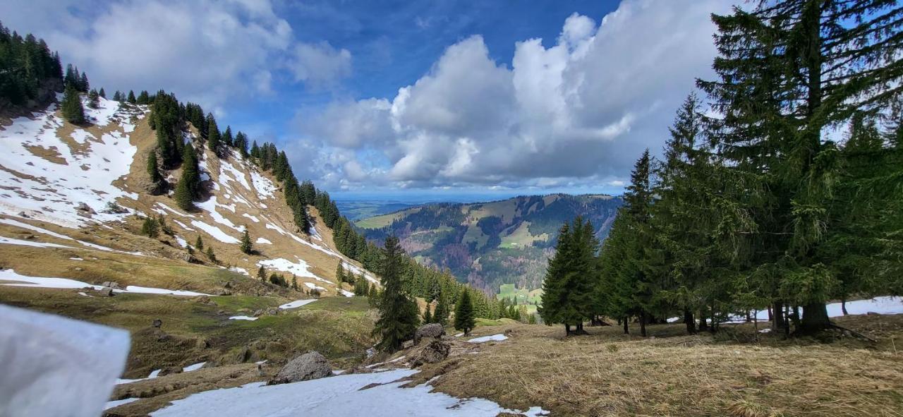 Fewo Allgaeuliebe Mit Wlan Oberstaufen Steibis Exterior photo